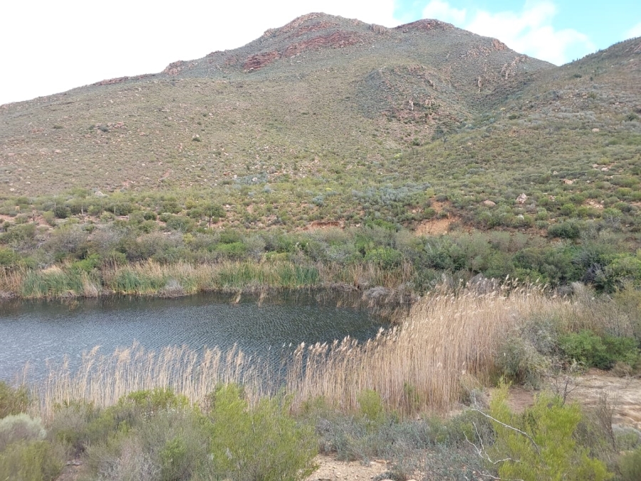 7 Bedroom Property for Sale in Ladismith Rural Western Cape